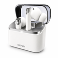 Glacier Earbuds